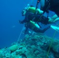 Reef hooks for watching the sharks